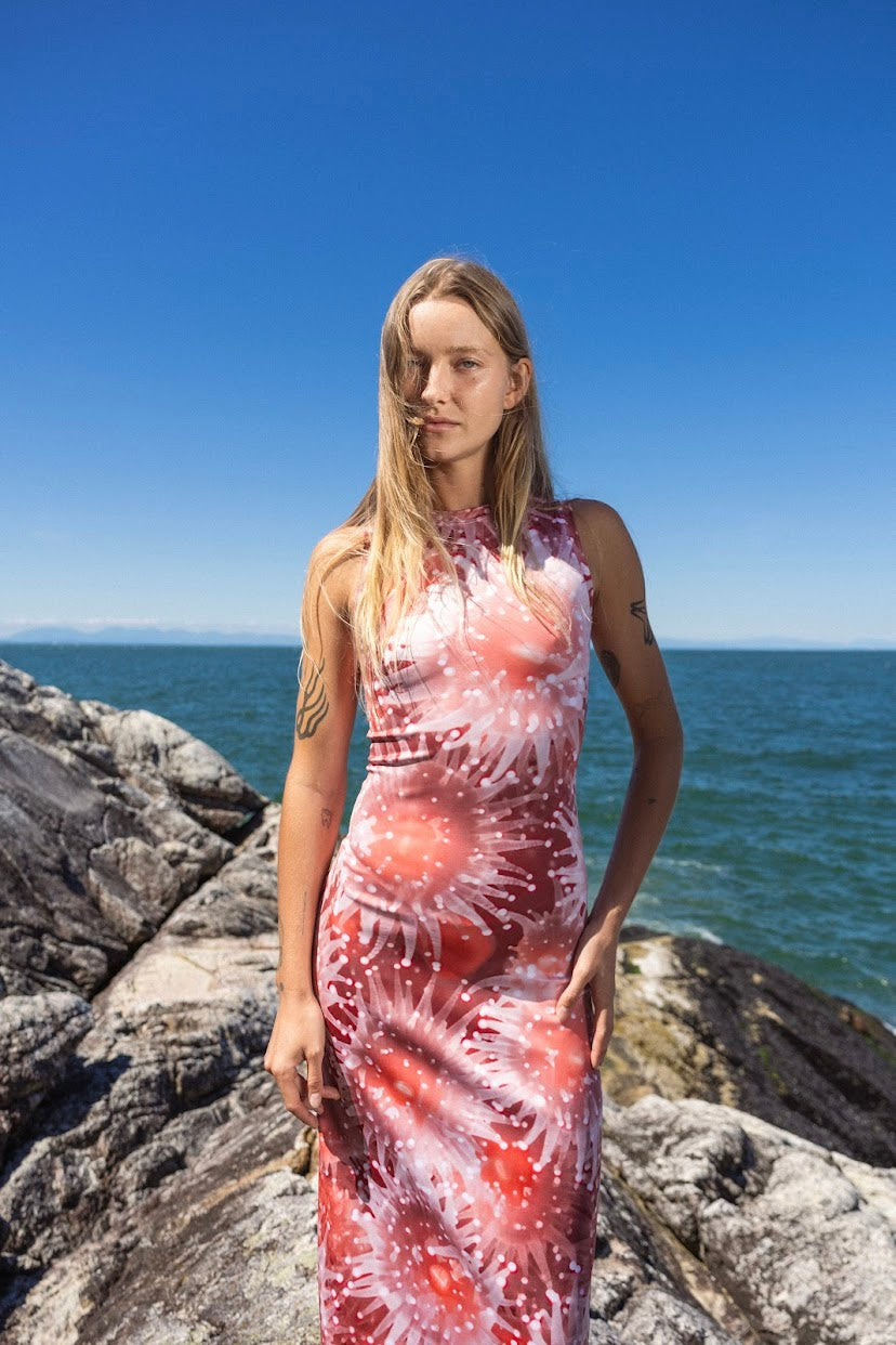 Nemo High Neck Midi Dress